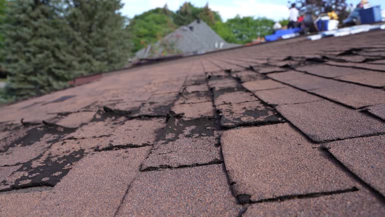 Best Solar Panel Roofing Installation  in Greenville, IN